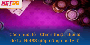 Cách nuôi lô - Chiến thuật chơi lô đề tại Net88 giúp nâng cao tỷ lệ thắng lớn 2 Cach Nuoi Lo Chien Thuat Choi Lo E Tai Net88 Giup Nang Cao Ty Le Thang Lon