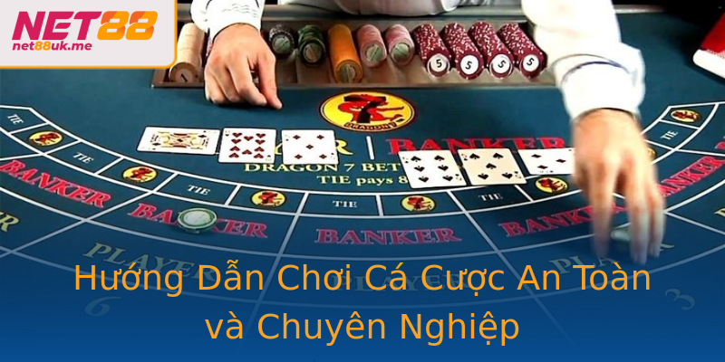 Hướng Dẫn Chơi Cá Cược An Toàn và Chuyên Nghiệp