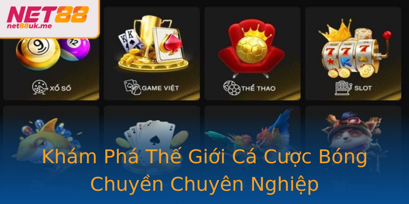 Khám Phá Thế Giới Cá Cược Bóng Chuyền Chuyên Nghiệp Khám Phá Thế Giới Cá Cược Bóng Chuyền Chuyên Nghiệp