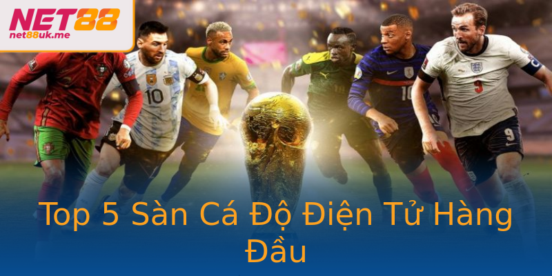 Top 5 Sàn Cá Độ Điện Tử Hàng Đầu Top 5 Sàn Cá Độ Điện Tử Hàng Đầu